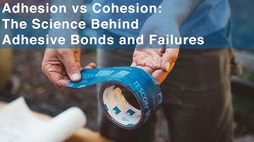 Adhesion vs Cohesion: The Science Behind Adhesive Bonds and Failures