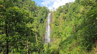 Astrology for the Soul November 19, 2025