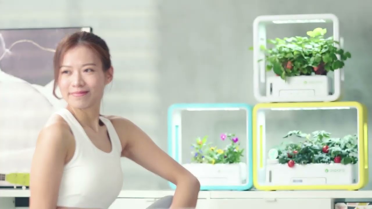 欧米で大ヒット 特許取得の家庭用水耕栽培キット アスパラガーデン ついに日本初上陸 水やり不要 アプリと連動でほっとくだけでグングン成長 株式会社egl Okinawaのプレスリリース