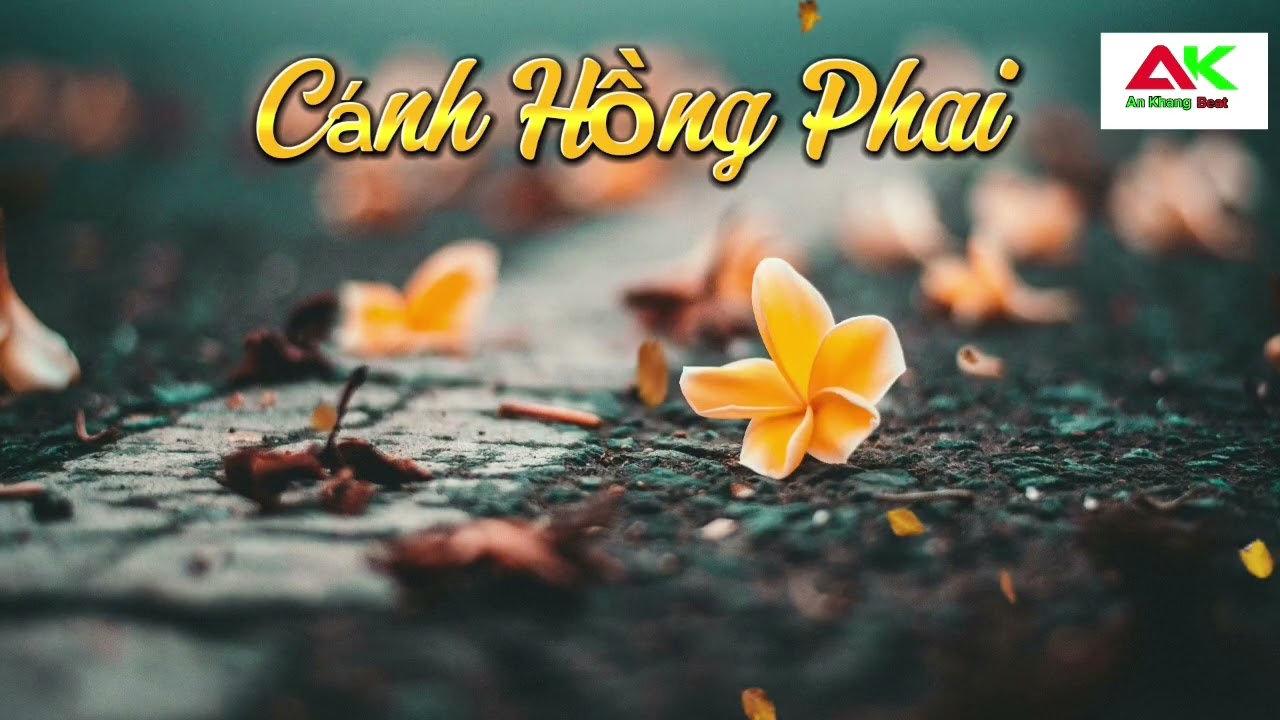 ♫ KARAOKE ♫ Cánh Hồng Phai - karaoke tone Nam- Hot TikTok -