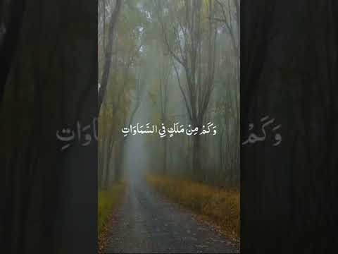 حالات واتس اب دينيه تلاوة خاشعة القارئ اسلام صبحي أ م ل ل إ ن س ان م ا ت م ن ى