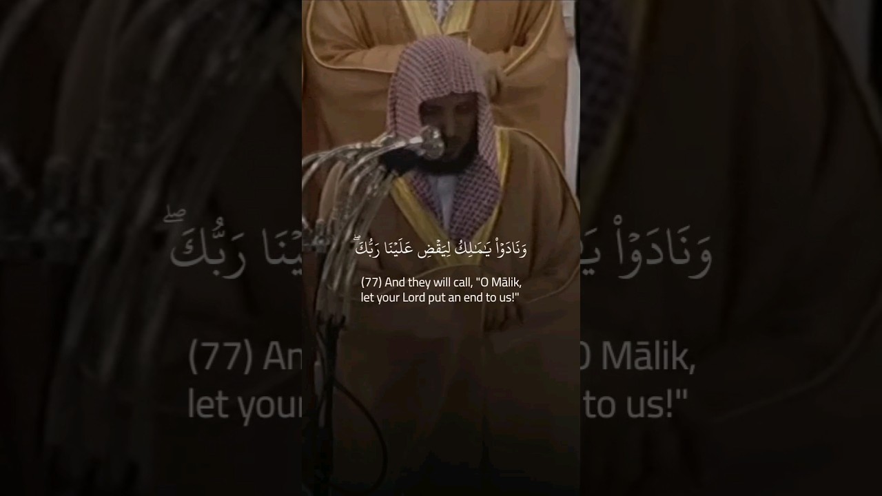 قراءة مؤثرة لآيات تتفطر لها القلوب للشيخ ماهر المعيقلي
