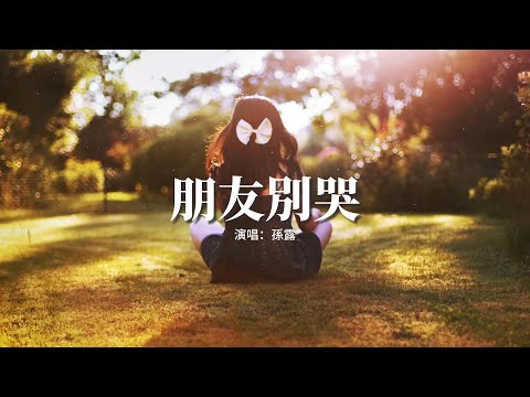 孫露 - 朋友別哭『朋友別哭 我陪你就不孤獨，人海中難得有幾個真正的朋友，這份情請你不要不在乎。』【動態歌詞MV】