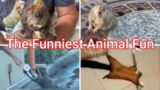The Funniest Animals of 2024