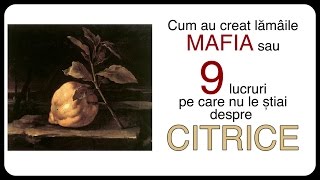 Cum au creat lămâile MAFIA sau 9 lucruri pe care nu le știai despre CITRICE