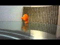 Vintage QBert Jumping Wind Up Toy Arcade Game Character Vintage QBert Jumping Wind Up Toy Arcade Game Character