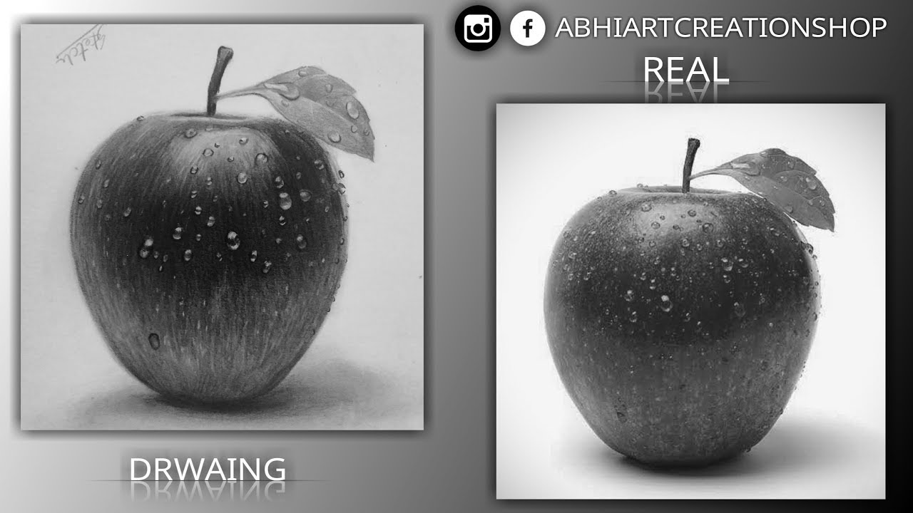 How to shade with pencil and charcoal Realistic Drawing Apple Sketch Abhiartcreation YouTube