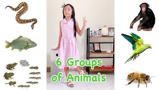 Famous 6 Groups of Animals | Performance Task in Science 2 Net Worth