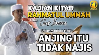 Rahmatul Ummah Study | In the Maliki School, Dogs Are Not Impure