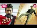 Gopichand Powerful Action Scene | Jil | Telugu Movie Scene | Full Movie on SUN NXT
