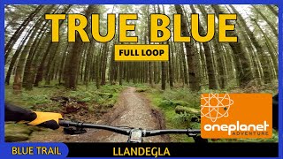 True Blue (Blue) **FULL LOOP** - Llandegla - Wales - Nov '25
