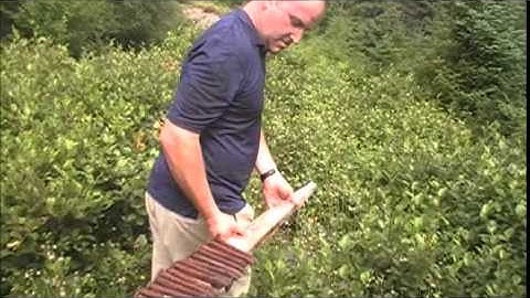 Exploring the Newfoundland railway Episode #95  lets walk the Trinity loop  PART-2