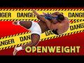 Antonio Rodrigo Nogueira vs. Bob Sapp - Openweight.