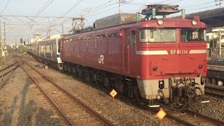 【速報】EF81-134+415系配給 藤代駅到着シーン