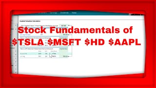 YouTube Live Pre Market Show We Look at the Stock Fundamentals of TSLA MSFT AAPL