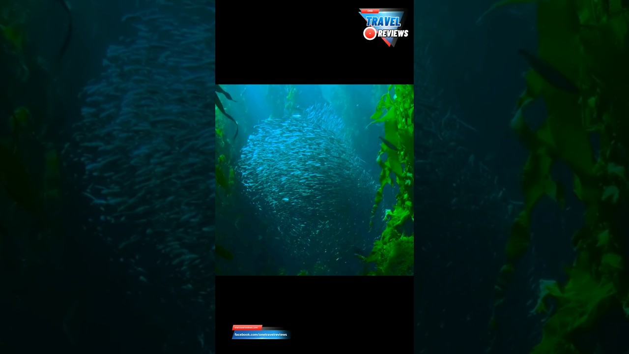 Amazing Nature around us 💞💙🧡💚💛❤️💞