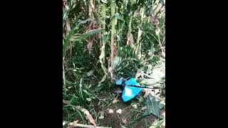 Effective Corn Tree Cutter - Farm Idea - Agri Gears