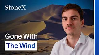 Why Sahara Winds Threaten Global Chocolate Supply screenshot 1