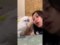 Hi #dj #cover #dangdut #djremix #musik #talkingparot #birds #nonstoptalkingparrot #cockatoo #bird