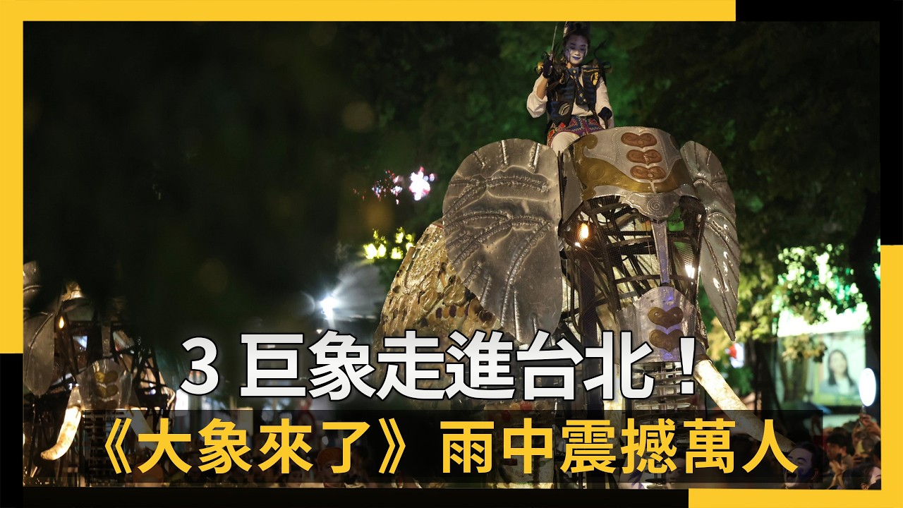 3巨象走進台北！《大象來了》雨中震撼萬人　絕美瞬間速看｜NOWNEWS #cc字幕