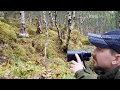 Hjortebrunst 2017 (Kronhjort, Red Stag)