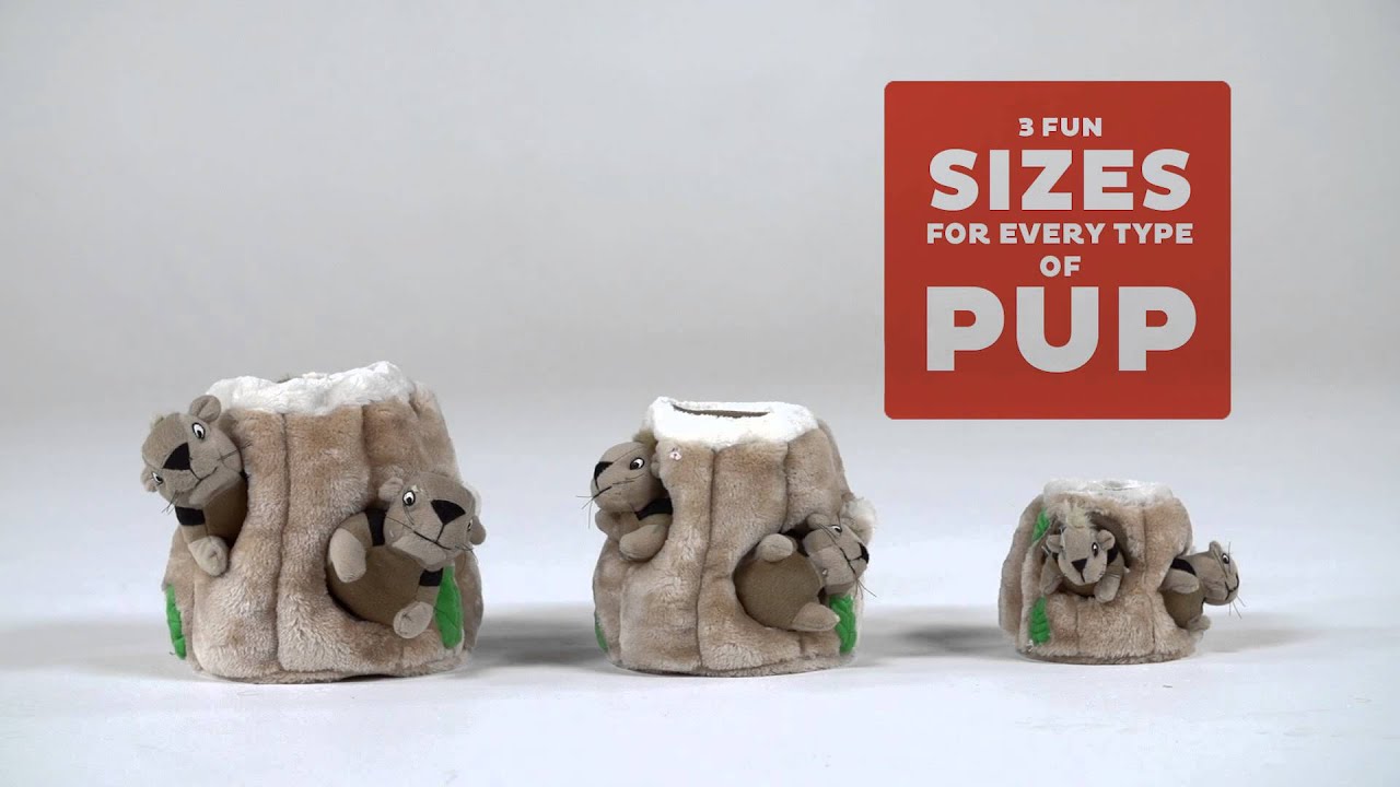 outward hound squirrel