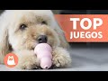 TOP 8 Mejores JUGUETES para PERROS 🥏🐕 ¡Descúbrelos!