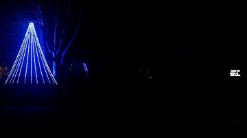 Xmas 2021 - Mega Tree