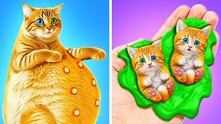 I Saved A Pregnant Cat 🐱*Secret Hacks For Kittens and Building A New House for My Pet*