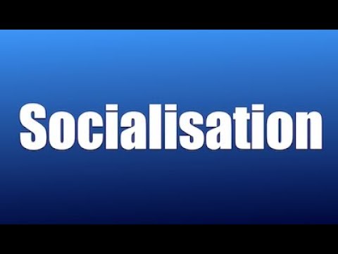 Video: Vad menas med termen socialisering?