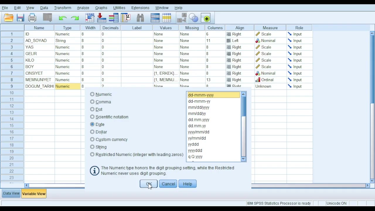 SPSS Veri Girişi, Veri türü tanımlama