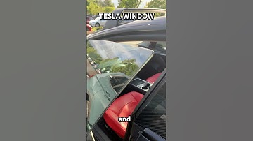 Tesla Window Feature #tesla #model3 #window #modely #music #shorts #car #automobile #cartok #modelx