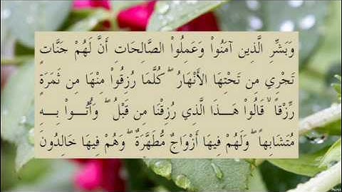 القران الكريم سورة البقرة الاية 25