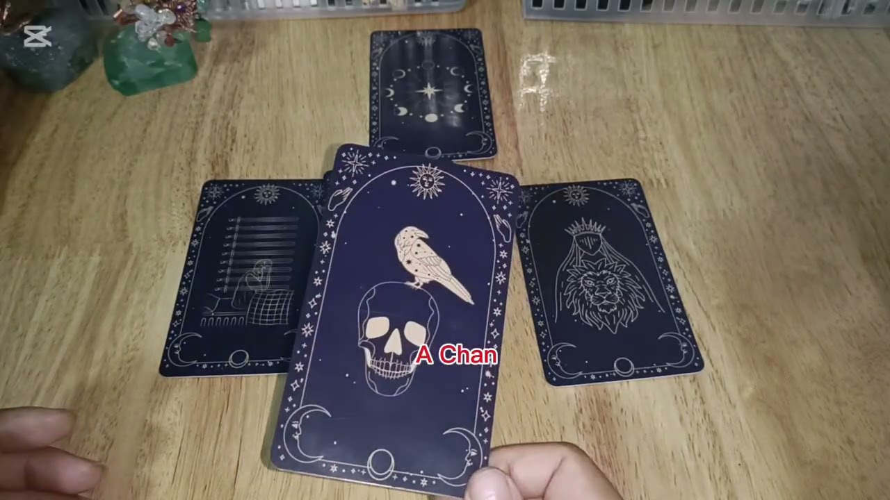 ព្រឹត្តិការណ៍សម្រាប់សប្ដាហ៍ថ្មីនៅពេលដែលអ្នកបានឃើញ