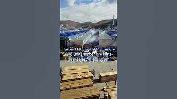 The largest project of wood drying kiln, 108 units of kilns produced by Harbin Hildebrand Machinery.