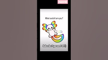 Which Axolotl Are You? #axolotl #short #fyp #viral #blowup #comment