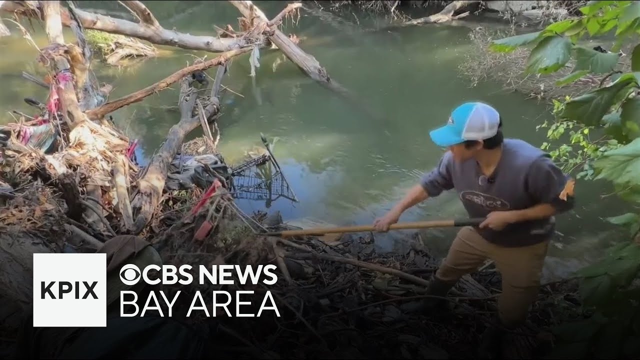 New California law will help cities clear up abandoned shopping carts quicker