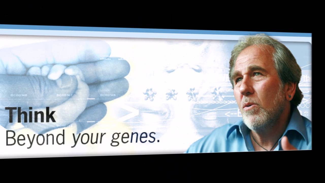 Bruce Lipton The Biology of Belief YouTube Bruce Lipton The Biology of Belief YouTube