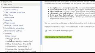 What Is An Ad Module - Websiteforge Ecommerce Website