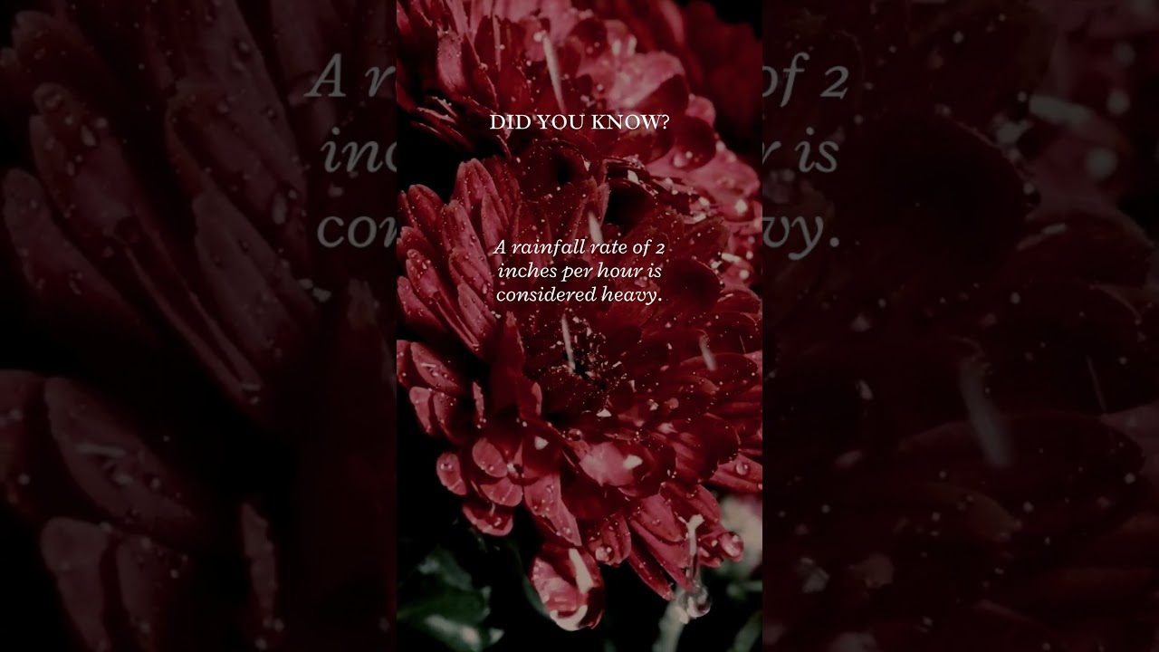 Heavy Rain | Scientific Definition | 