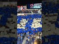 ¡La afición celeste poniéndole color a la Gran Final! 💙