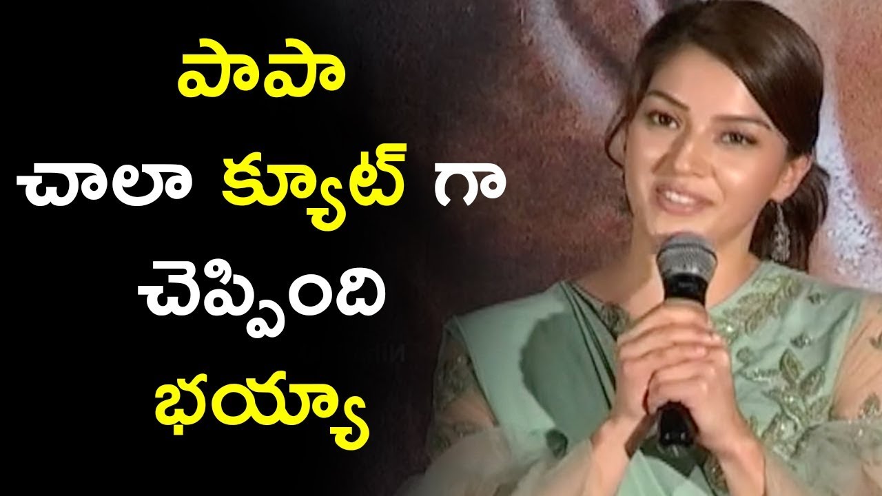 Mehreen Speech at Pantham Movie Trailer Launch - Gopichand, Mehreen Kaur - Niharika Movies