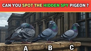 15 Tricky Riddles That Will Test Your Brain Only Geniuses Can Solve All