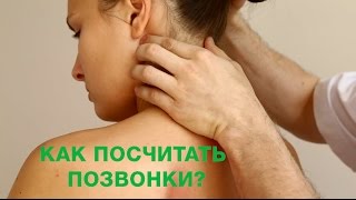 Как посчитать позвонки?