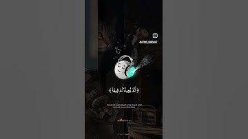 #القارئ_عبدالله_شعبان #ماهر_المعيقلي #reels #quran #المغرب_الجزائر #دعاء #صلاة #القرآن #راحة_نفسية