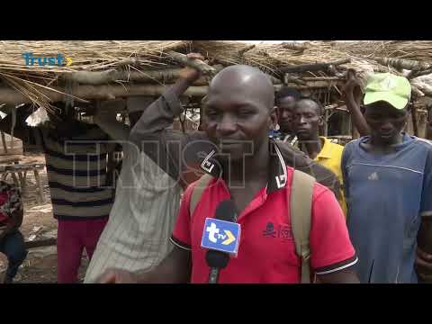 BUSINESS HIGHLIGHTS : Nigeria's Rural Economy  | TRUST TV