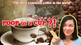 Kopi Luwak Most Expensive Coffee