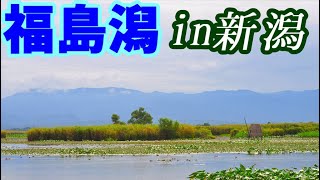 【VOICEROID車載】#15:新潟なのに福島潟【東北珍走】
