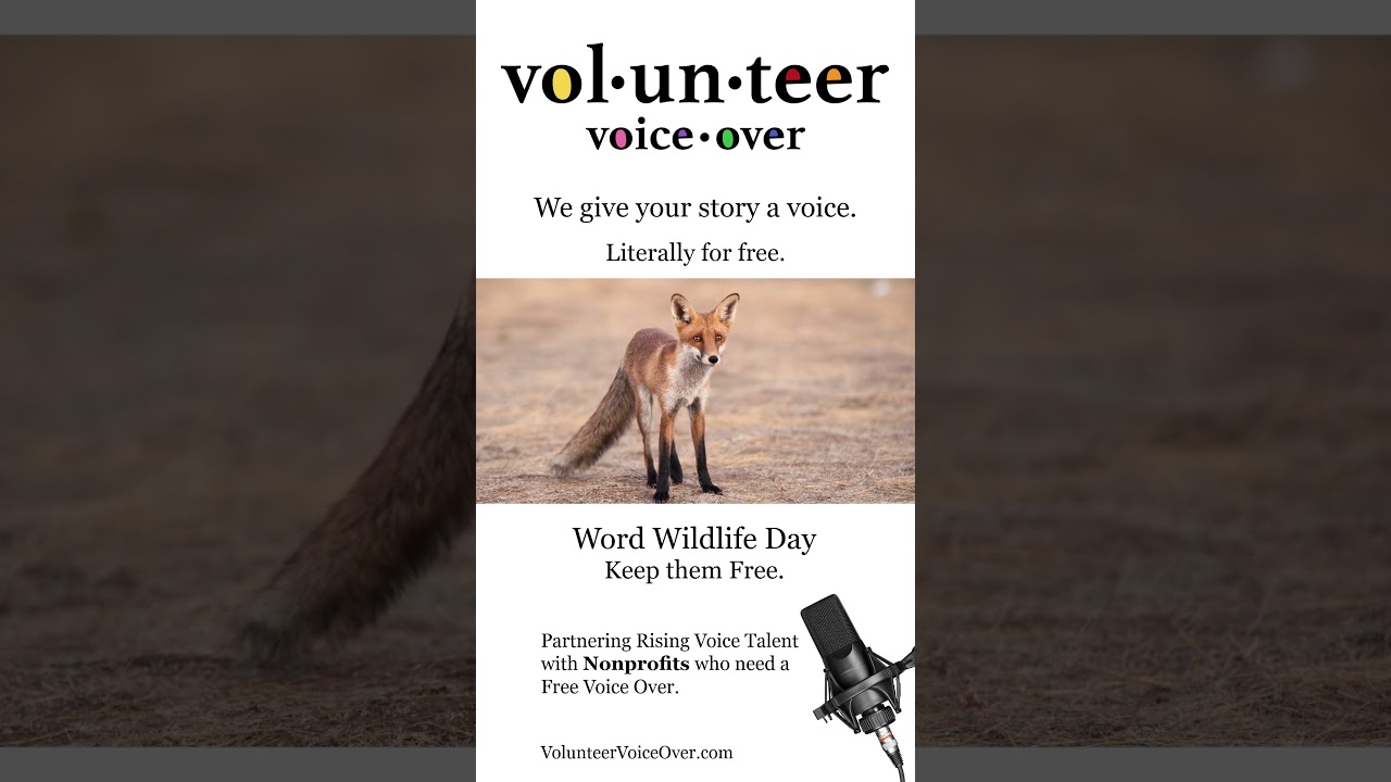 World Wildlife Day Volunteer Voice Over 
