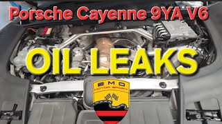 Porsche Cayenne 9YA 3.0L V6 - Oil leaks 